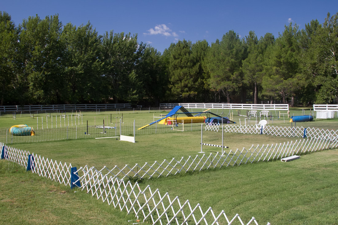 Verde Valley Dog Obedience & Agility Club