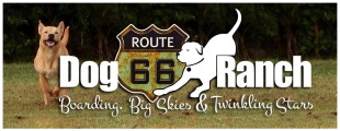 Route 66 Dog Ranch logo