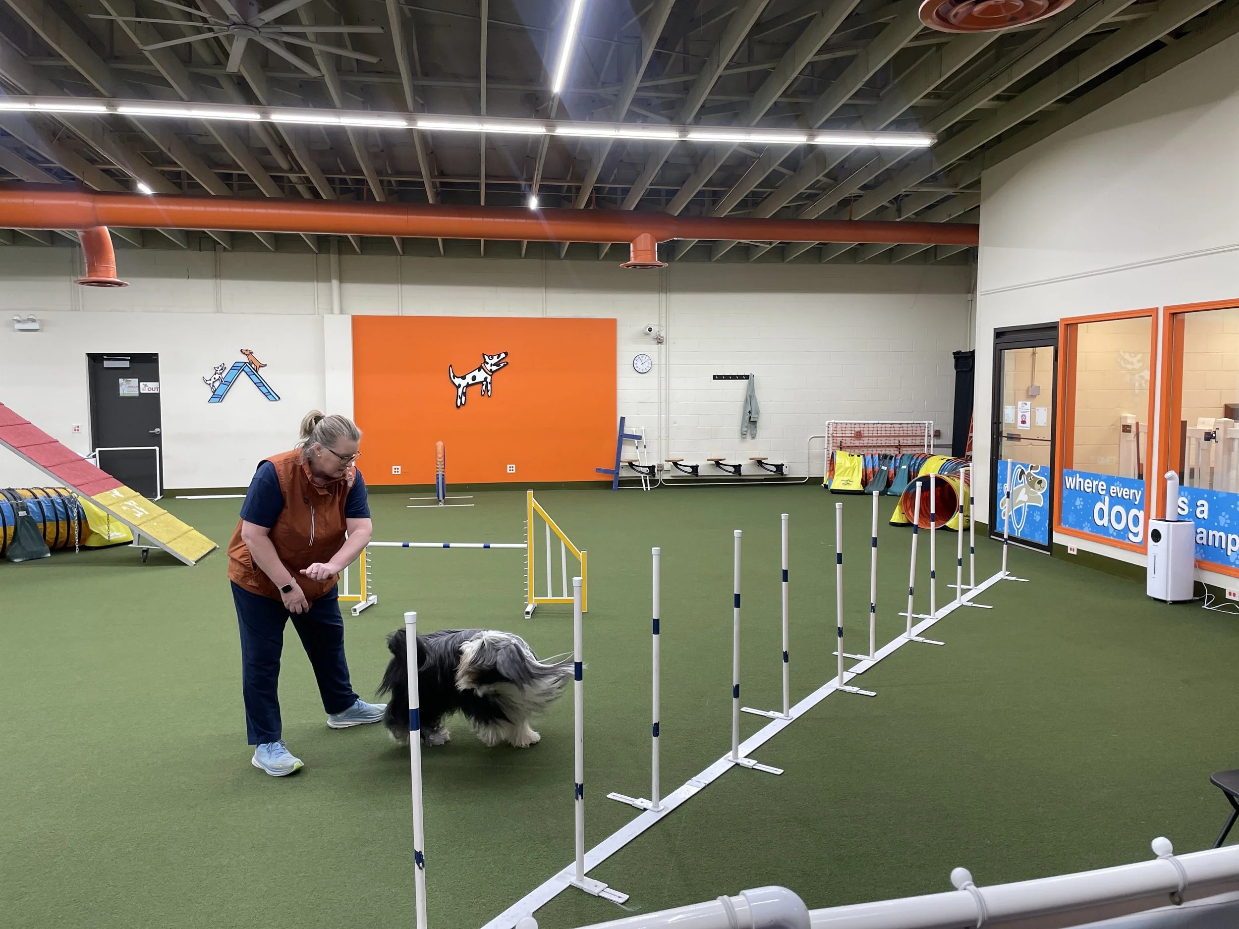 Lineage of Love Dog Training