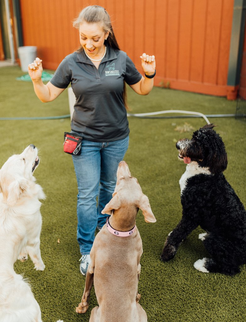 Pawsibilities Dog Training & Behavior Services