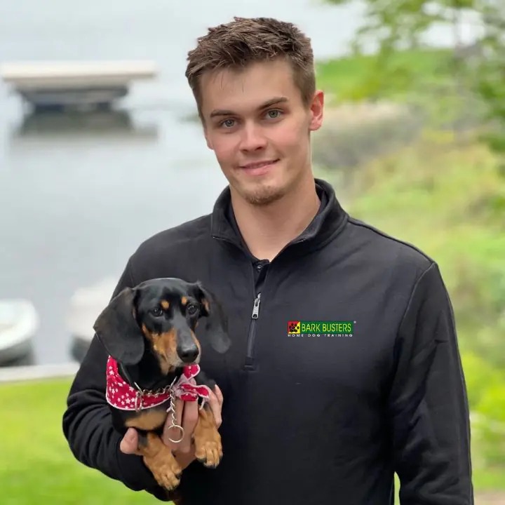 Bark Busters Home Dog Training Detroit Northern Suburbs