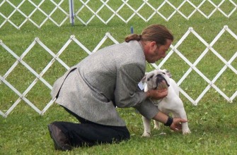 St. Michael’s Canine Services — dog trainer in Port Huron, MI