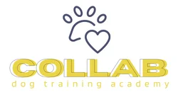 COLLAB Dog Training