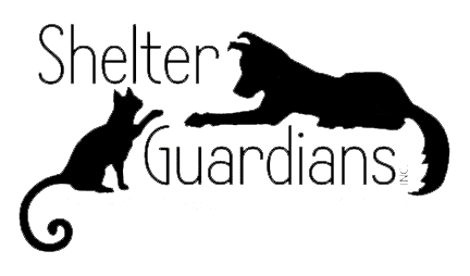 Shelter to Service logo