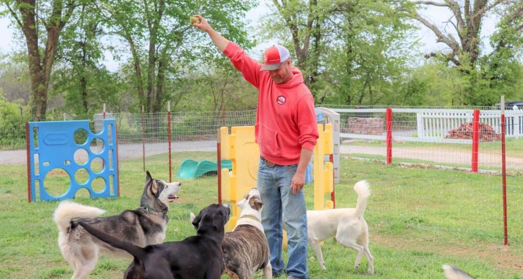 Buckaroos 360 Dog Care