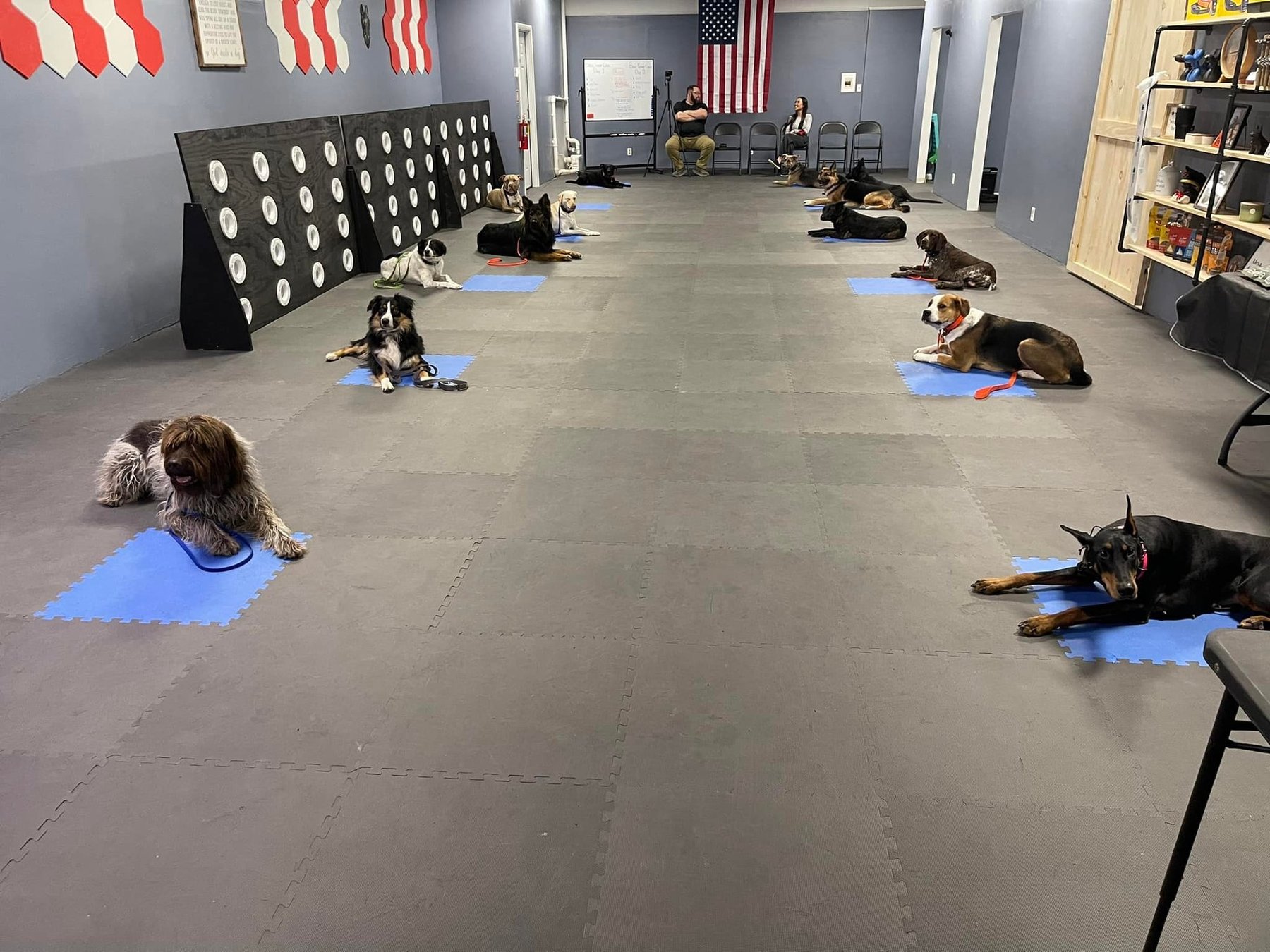 M&A Dog Training LLC