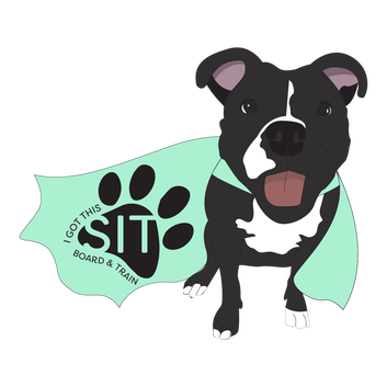 I Got This SIT, LLC. logo