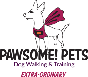 Pawsome Pets – Dog Walking & Training logo