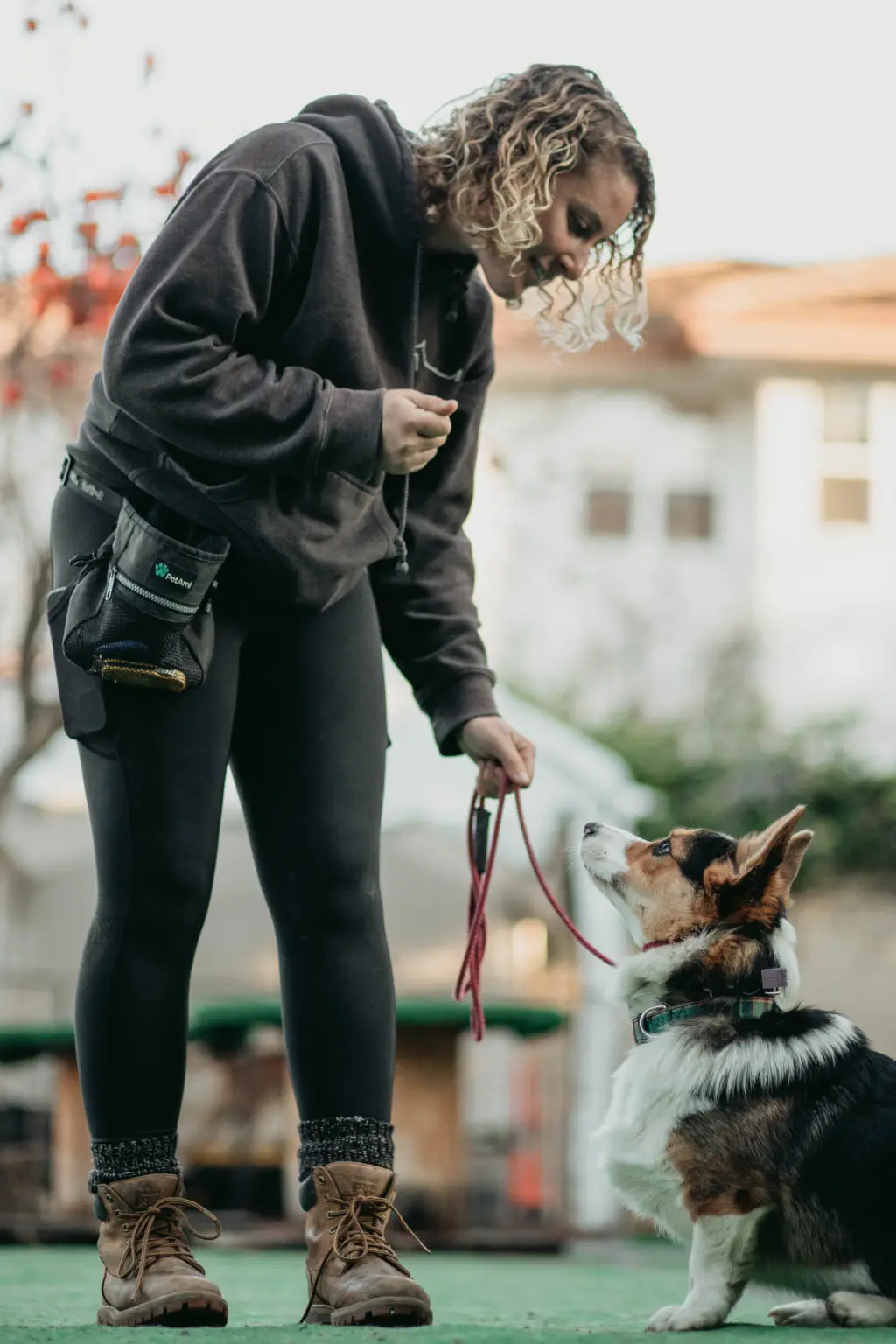 Back to Balance Canine