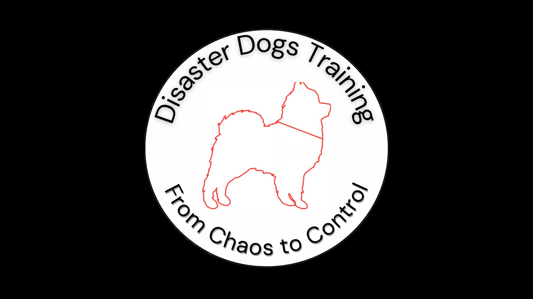 Disaster Dogs Training