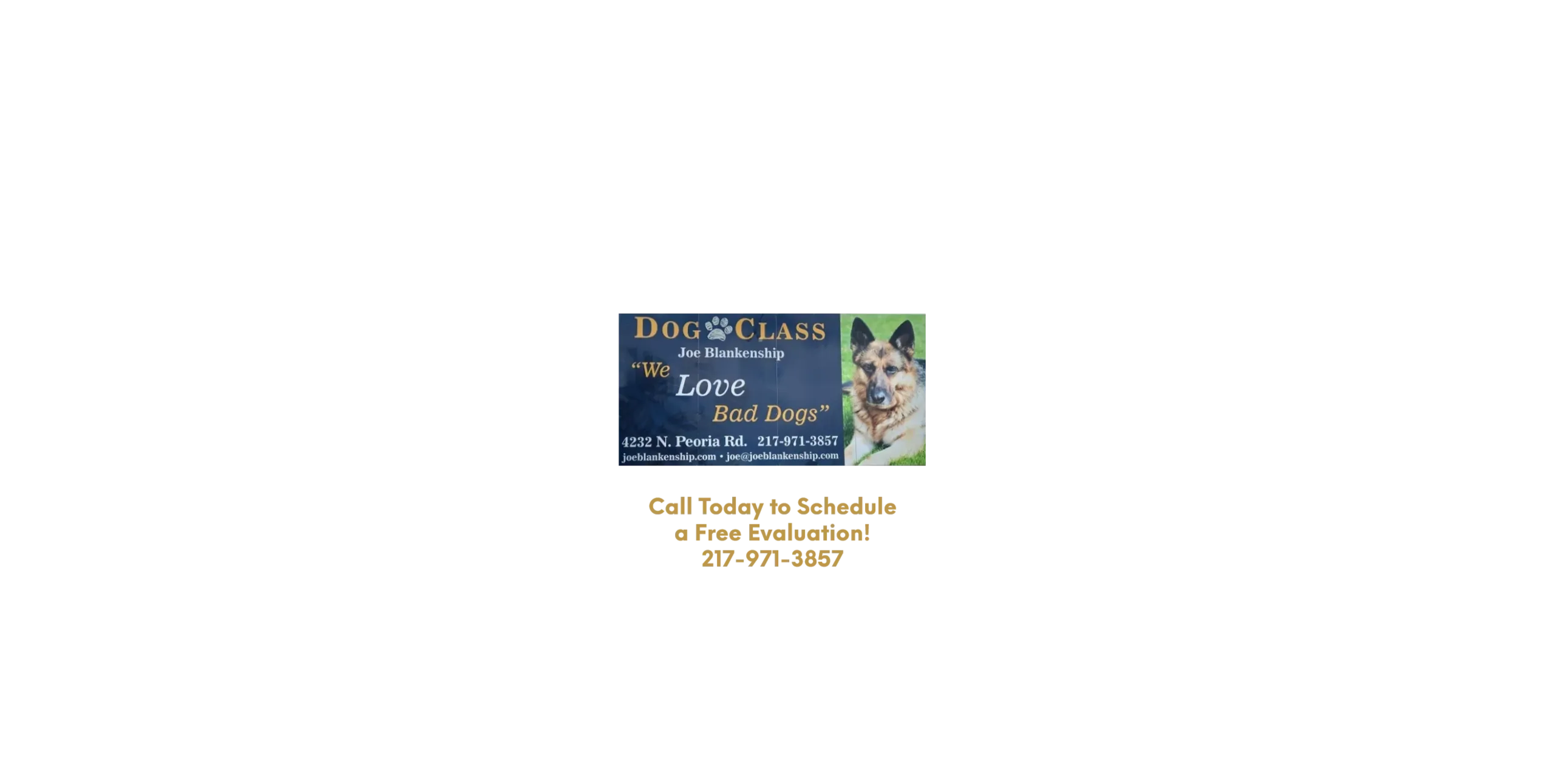 Dog Class Pro Dog Training logo