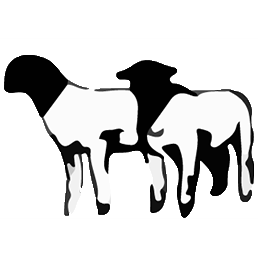 On the Lamb