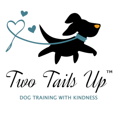 Two Tails Up, LLC logo