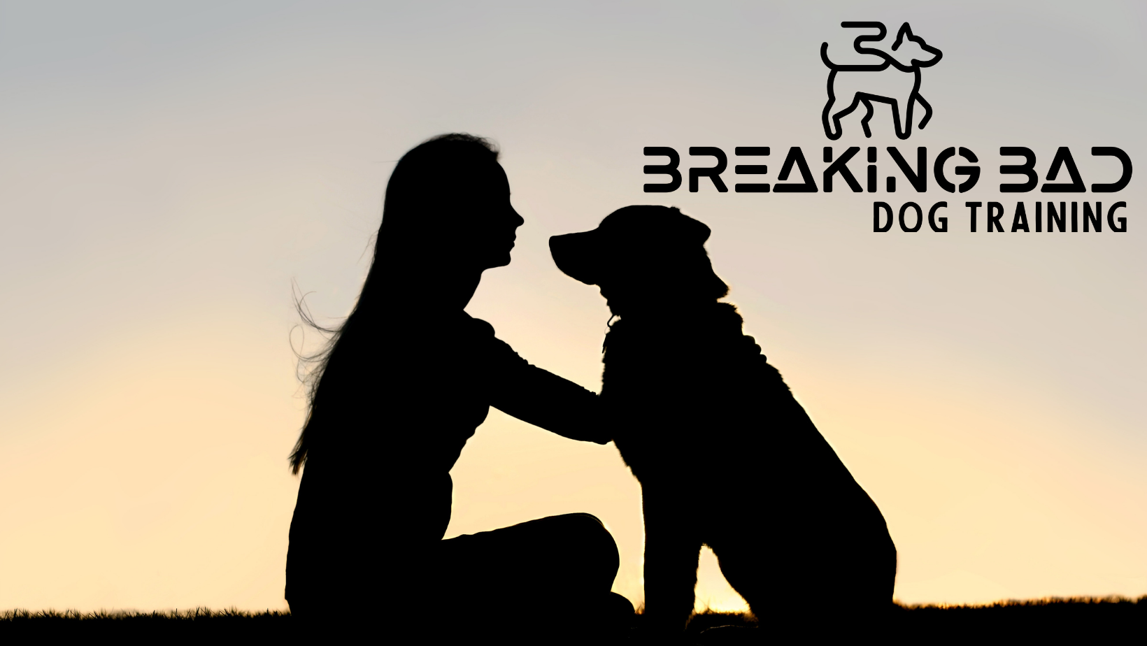 Breaking Bad Dog Training