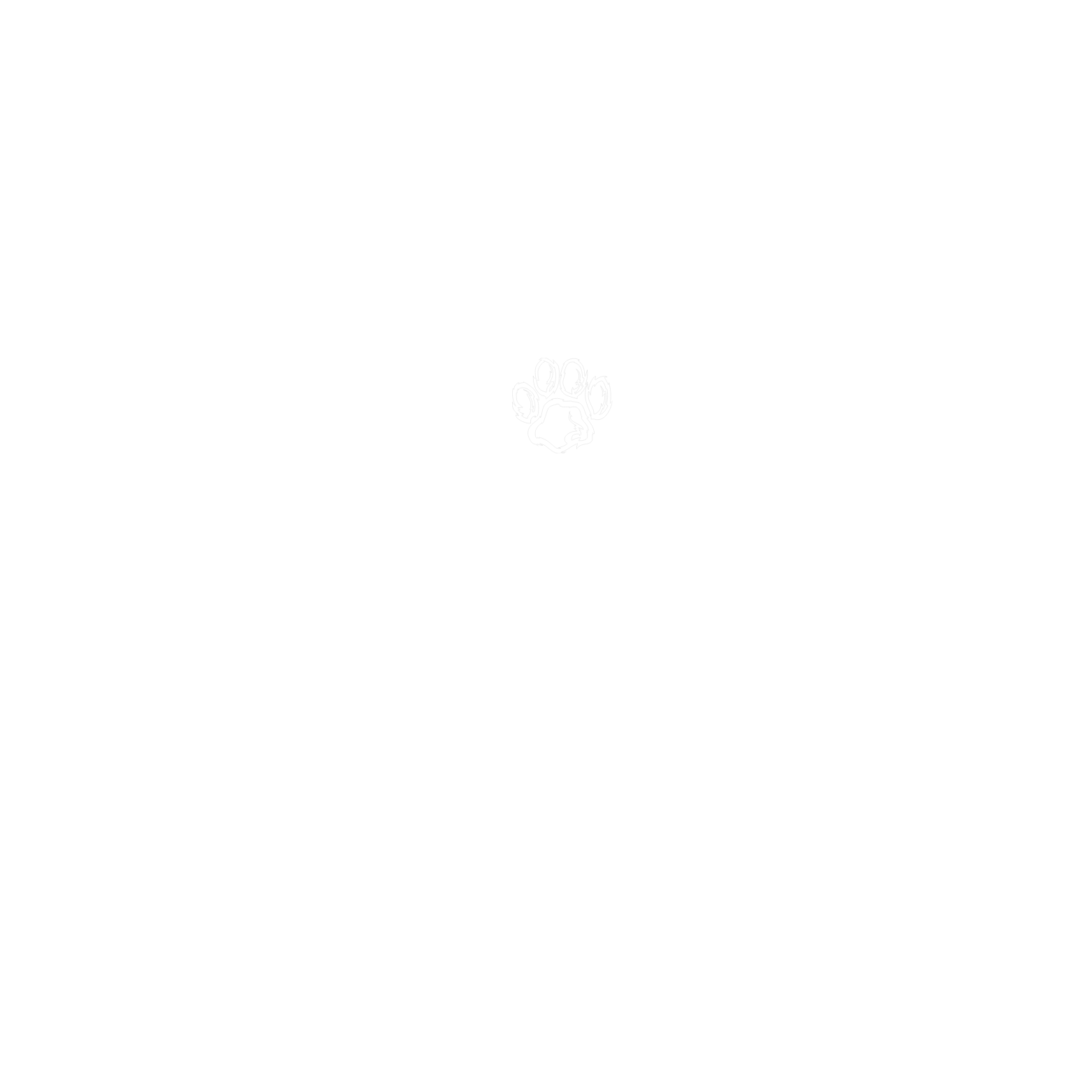 CALK9s | Dog Training & Sports logo