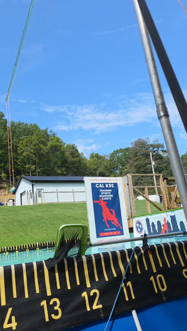 CALK9s | Dog Training & Sports