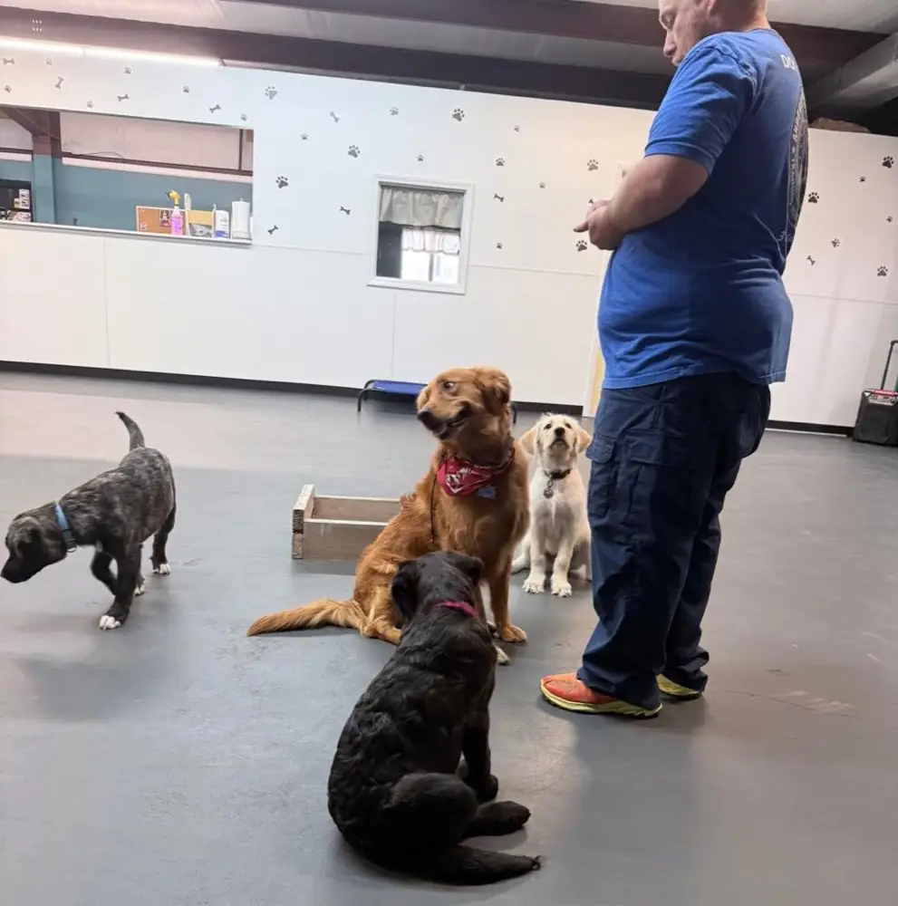 Operation New Leash Wichita
