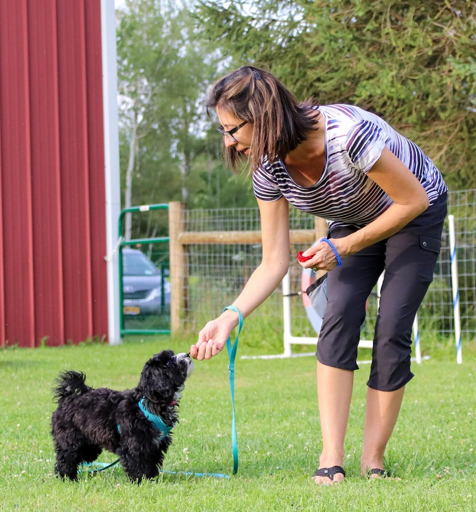 Heather’s Dog School logo