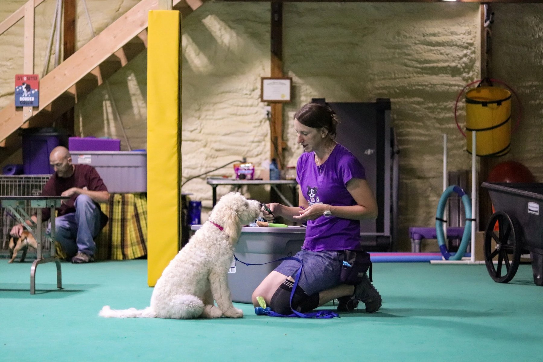 Heather’s Dog School