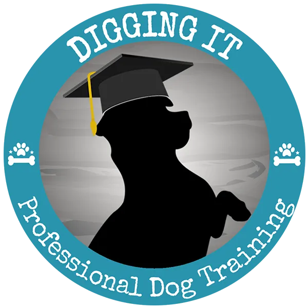 Digging it Professional Dog Training