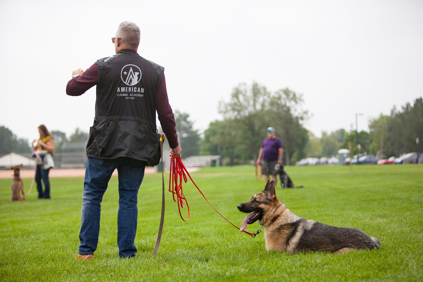 American Canine Academy Dog Training