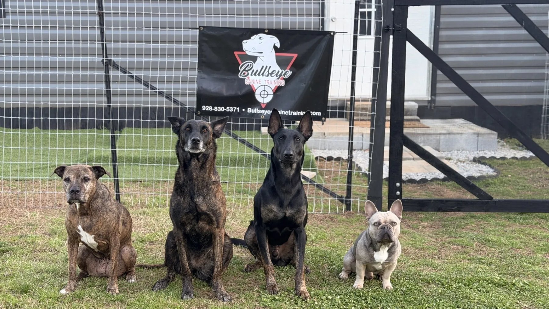 Bullseye Canine Training, LLC.