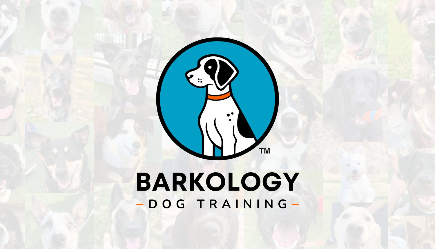 Barkology Dog Training