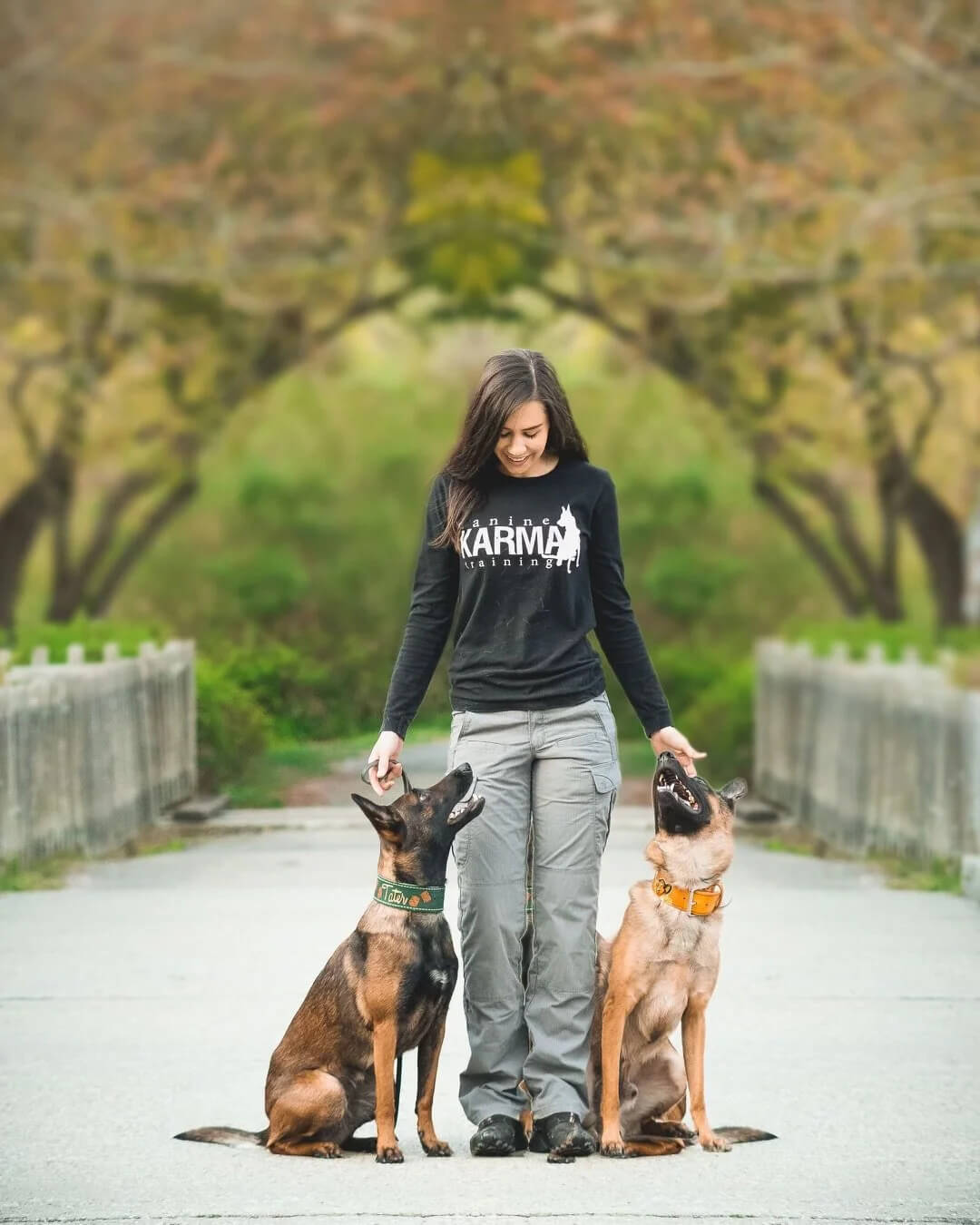 Canine Karma Dog Training