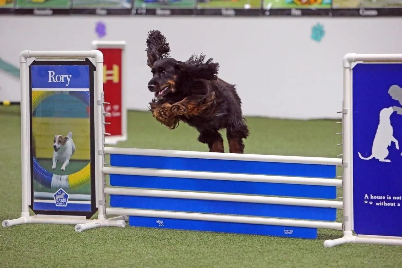 Hadley Acres Obedience & Care