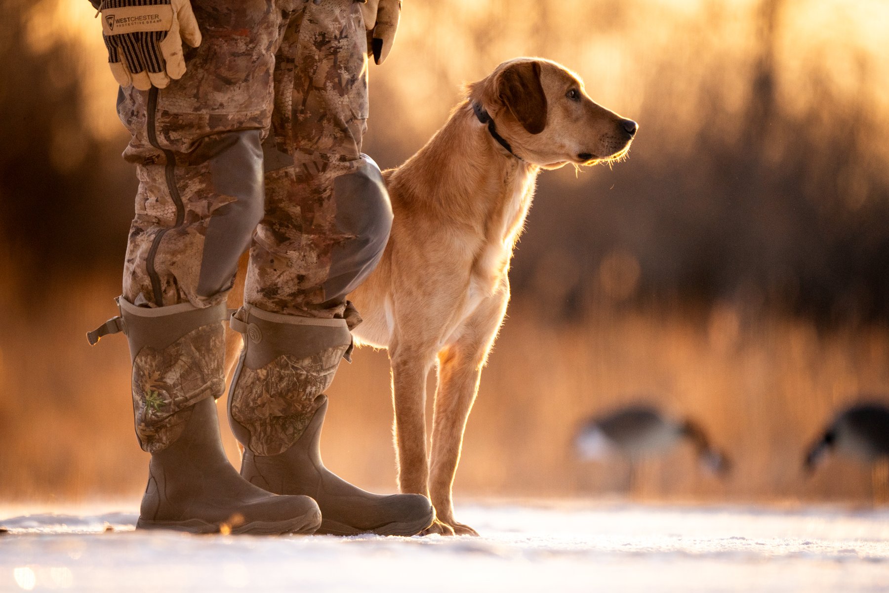 Complete Retrievers