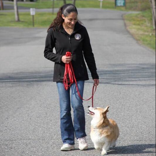 Maria G Huntoon Canine Consulting Services