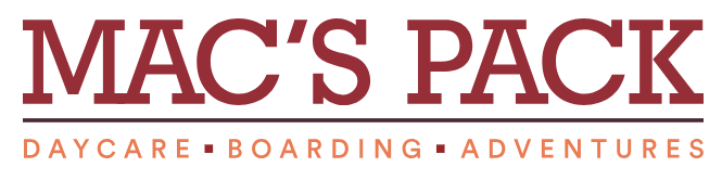 Mac’s Pack Centennial — dog trainer in South Metro Denver, CO
