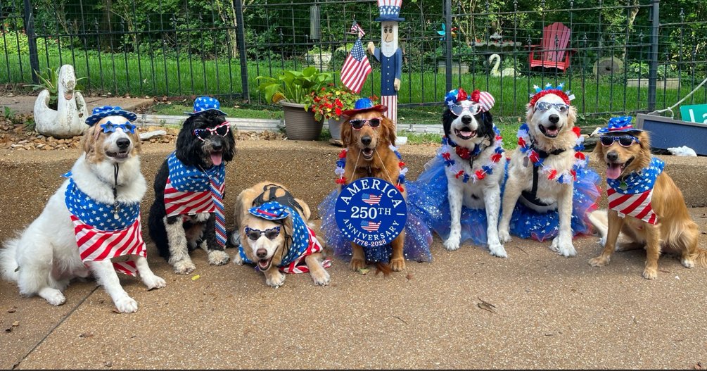 North County Obedience Training