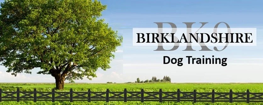 Birklandshire K9 (BK9) logo