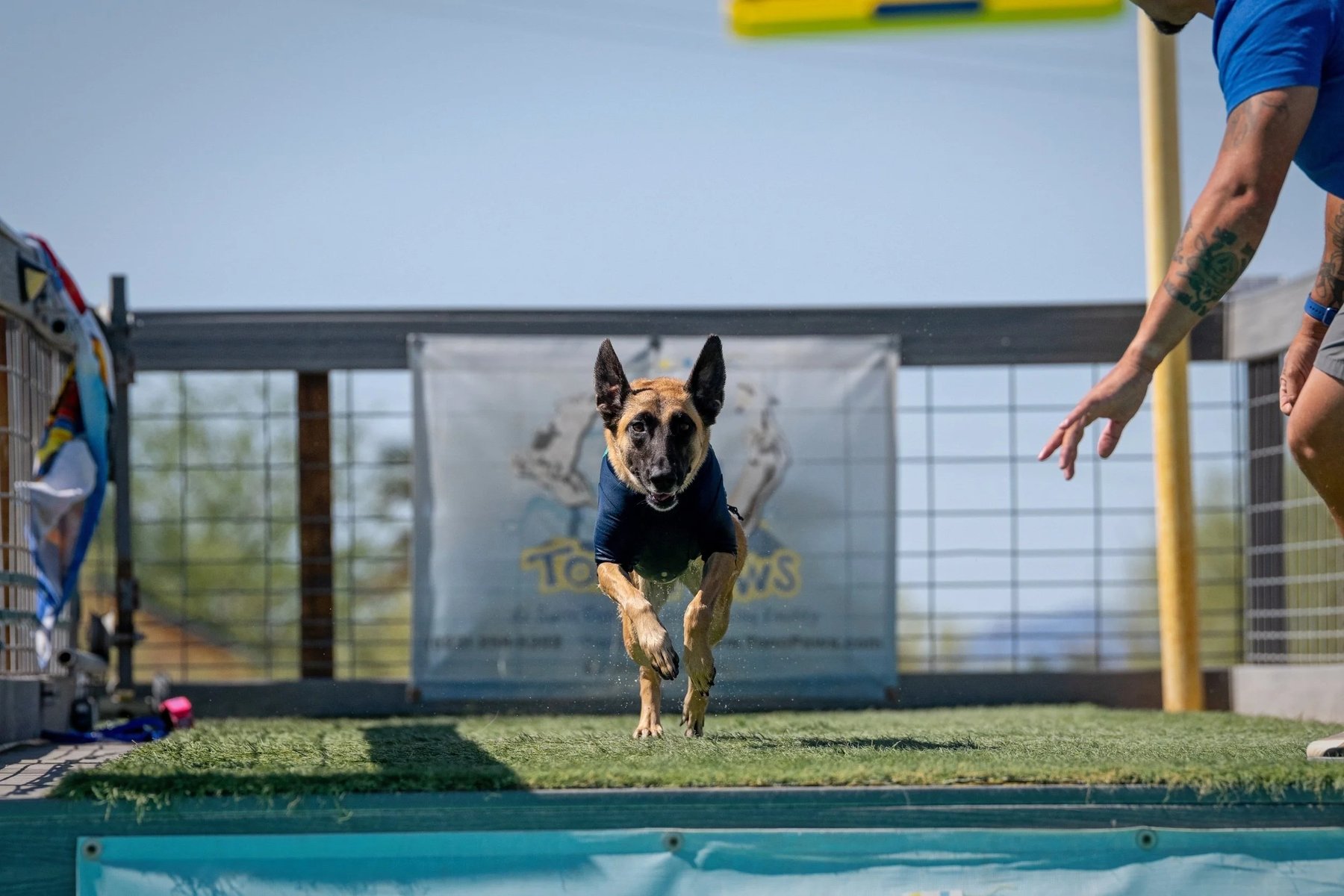 Kinected K-9 AZ LLC