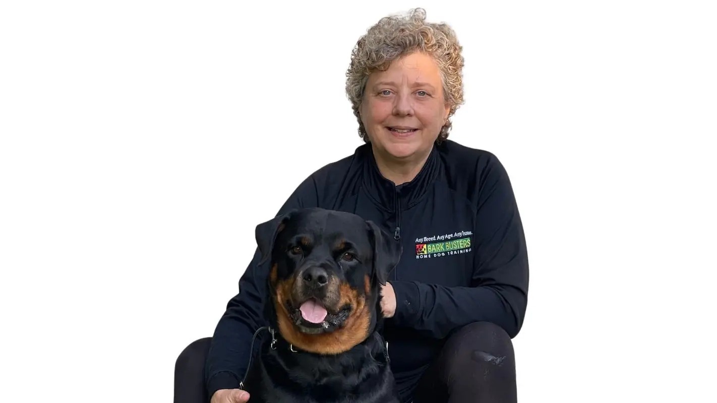 Bark Busters West Michigan — dog trainer in Muskegon, MI