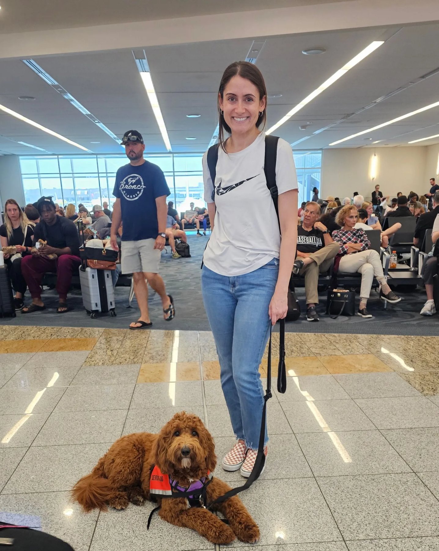 Family Dog Obedience & Training