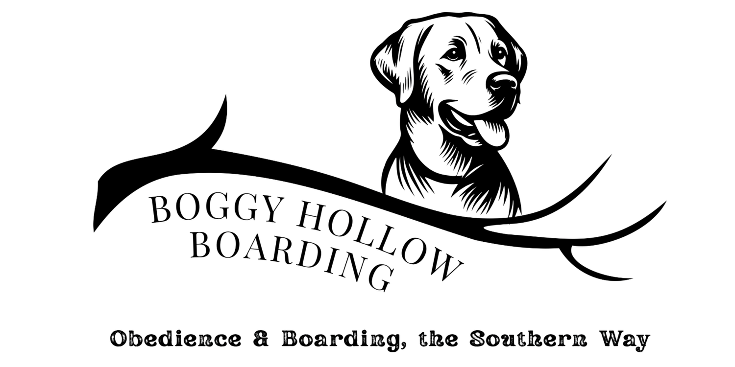Boggy Hollow Boarding logo
