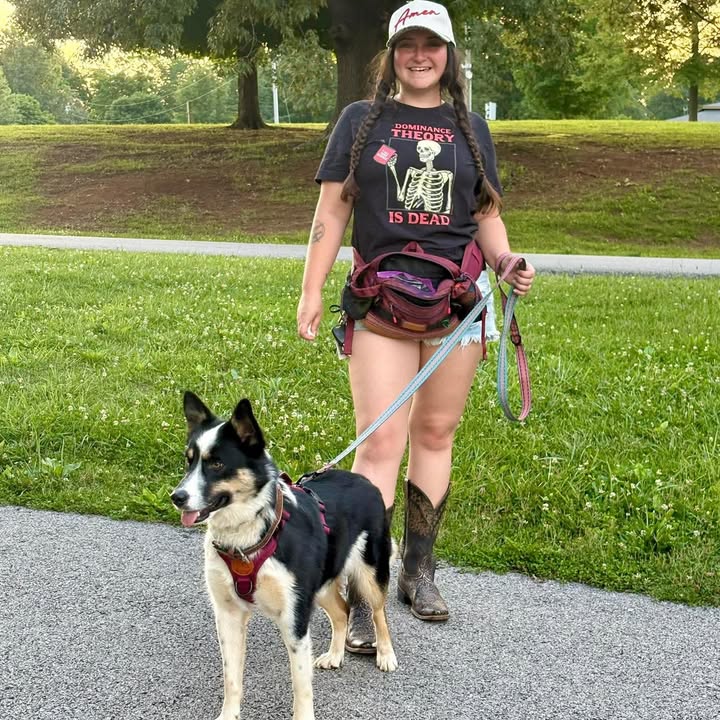 Autumn Rose Dog Training