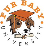 Fur Baby University logo