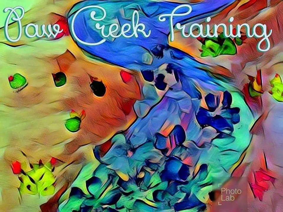 Paw Creek Training
