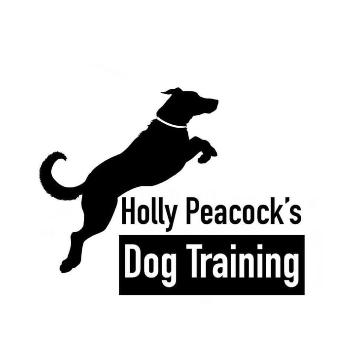 Holly Peacock’s Dog Training