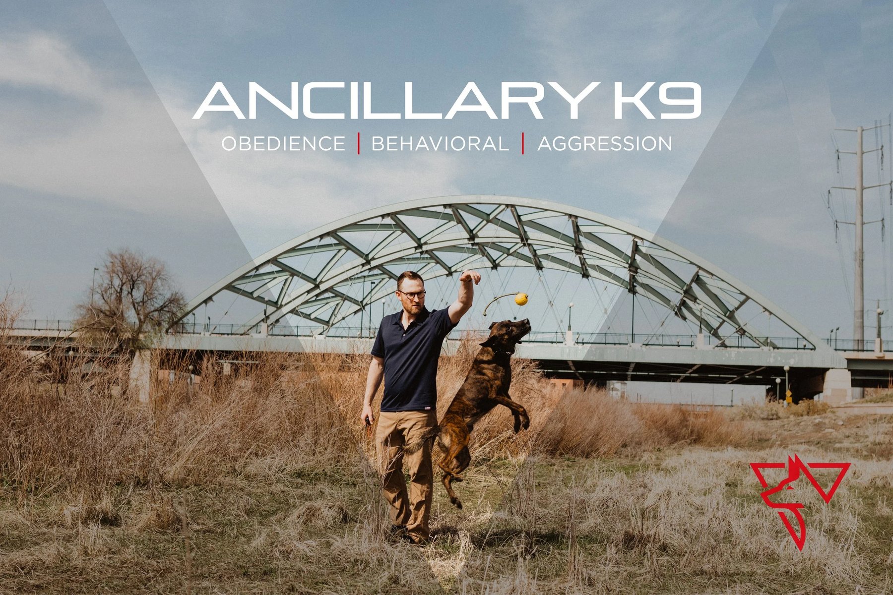 Ancillary K9 Dog Training