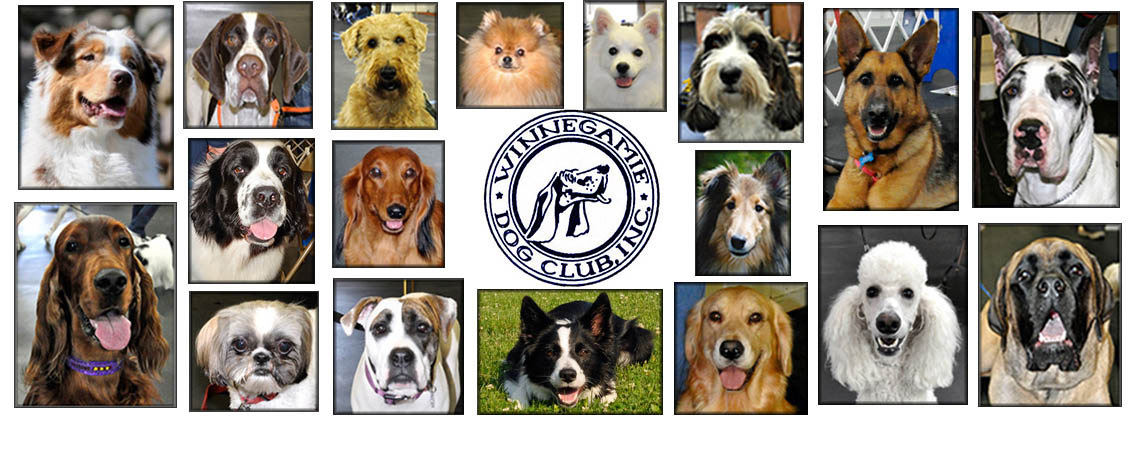 Winnegamie Dog Club