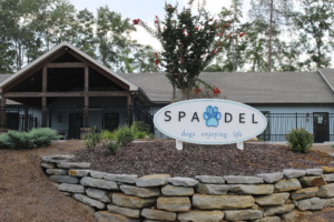 SPA DEL