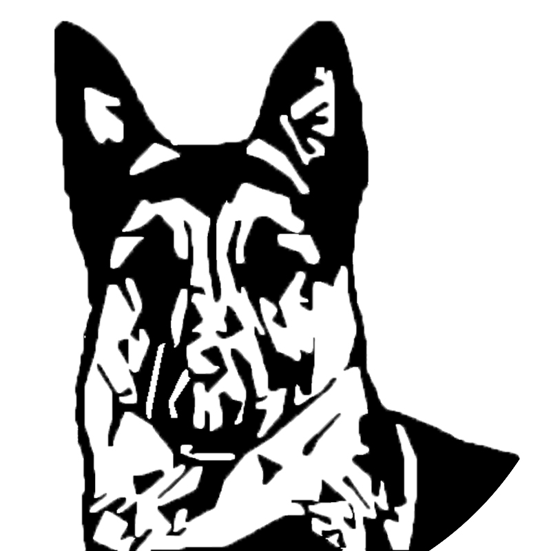 Quad Cities Canine, LLC