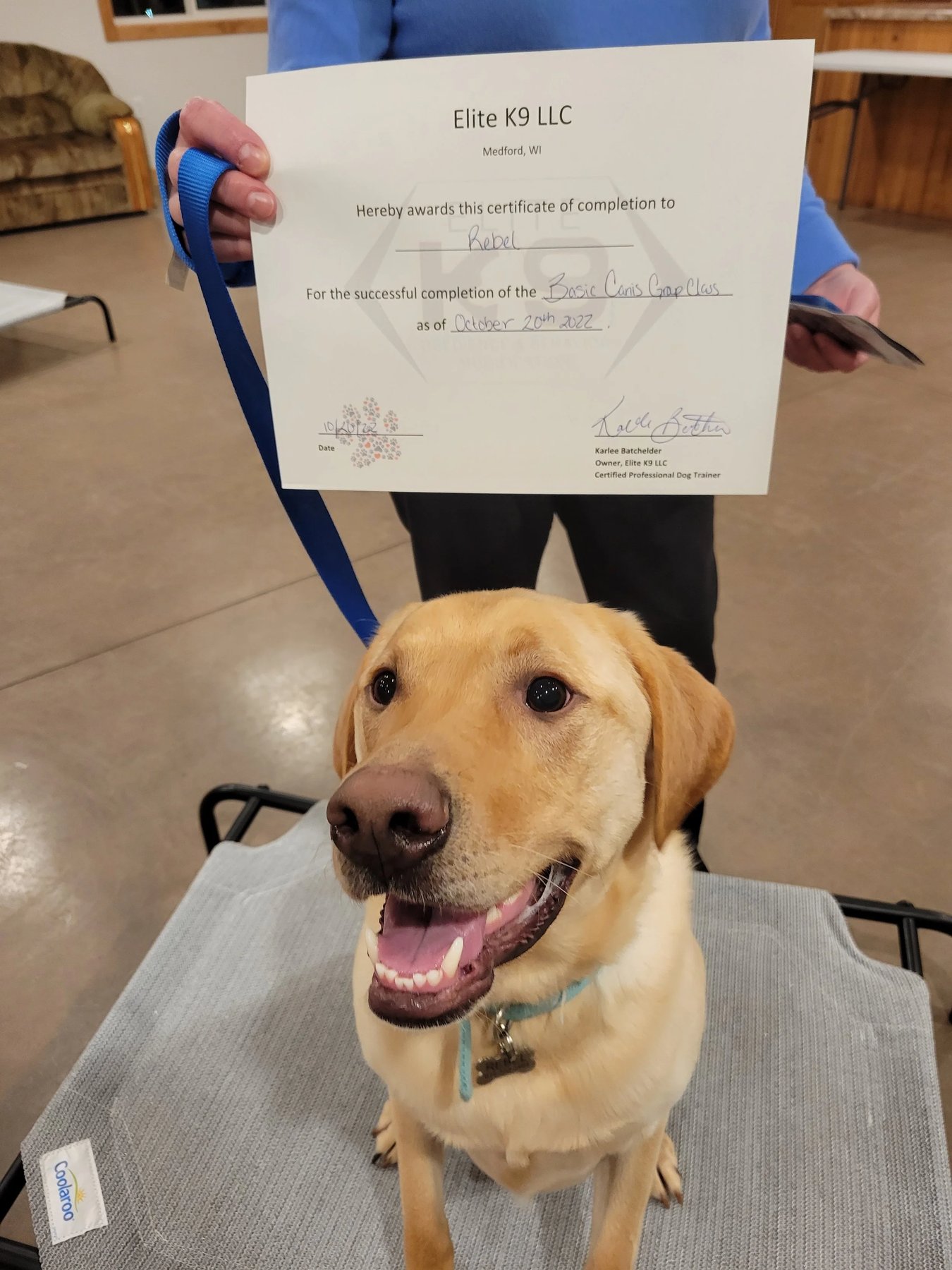 Elite K9 LLC — dog trainer in Wausau, WI