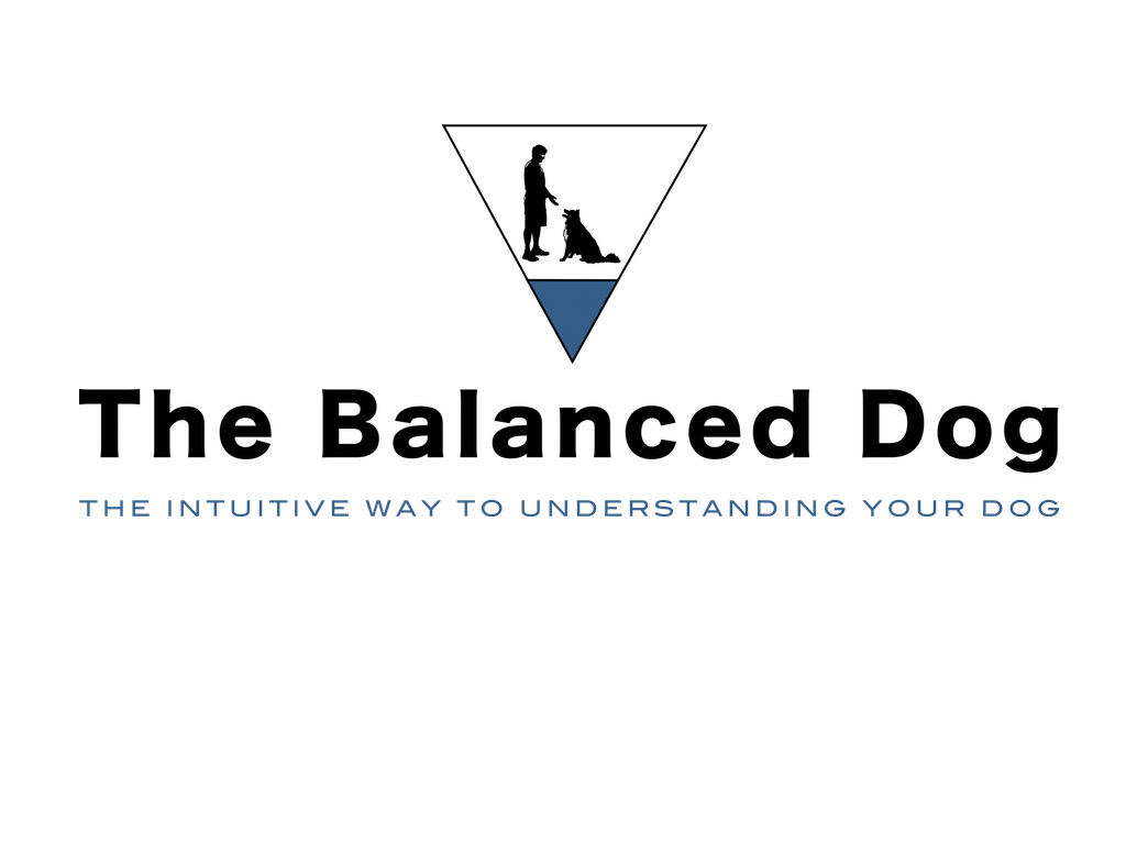The Balanced Dog — dog trainer in Salt Lake City, UT