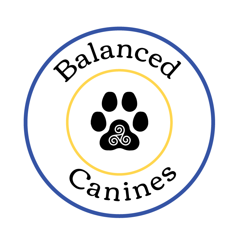 Balanced Canines logo