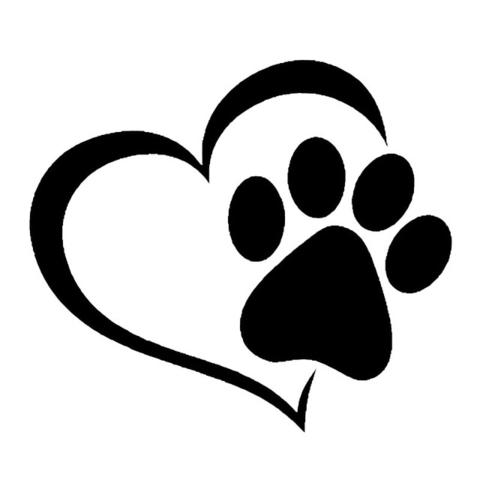 Angel Paw Dog Training